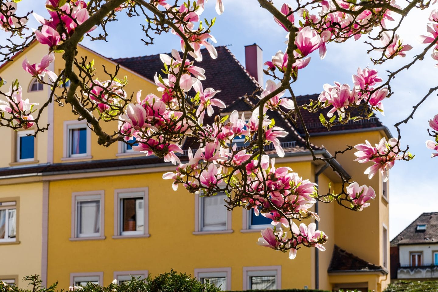 Yellow Masonry Paint