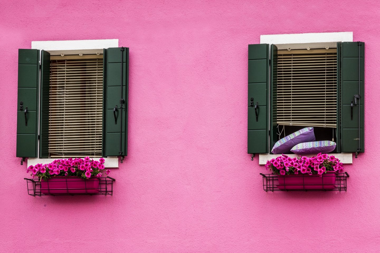 Pink House