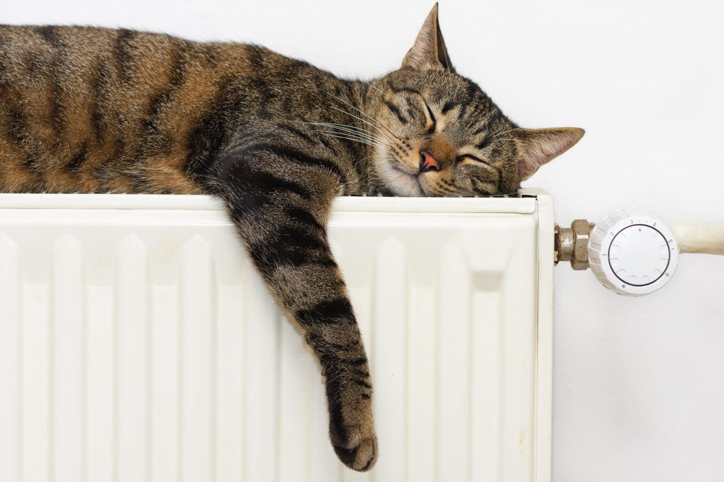 Radiator Paint