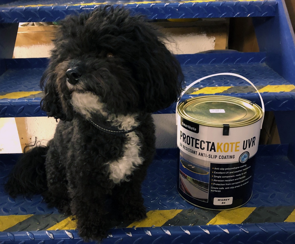 Anti Slip Paint For Vets